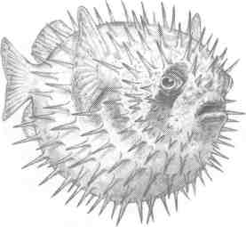 Nanny Ogg's Cookbook-17.jpg